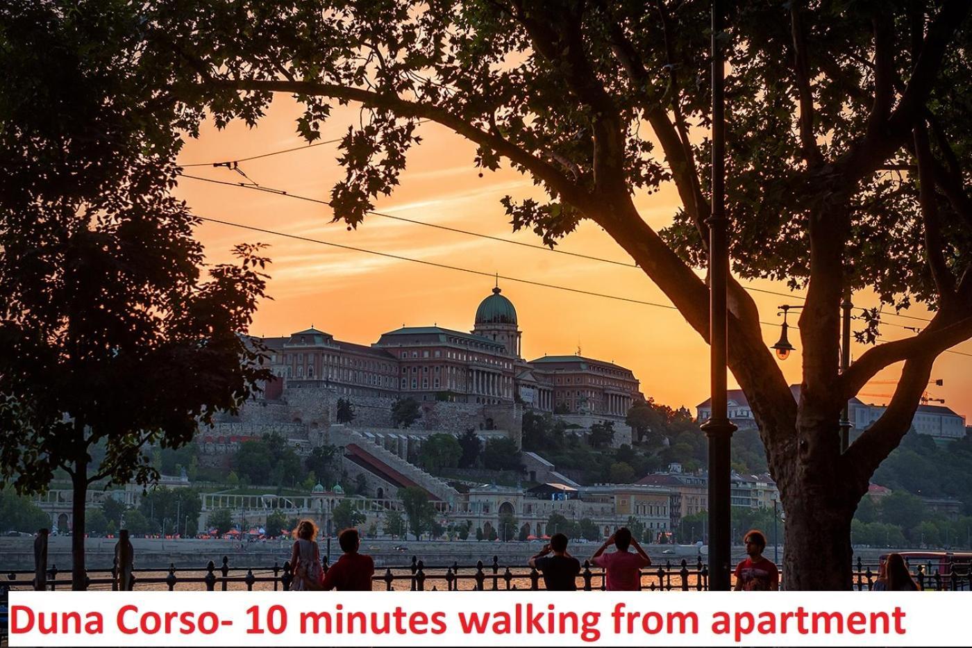 Chain Bridge Apartment Budapeste Exterior foto